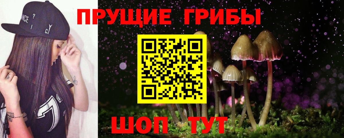 Чебоксары  Псилоцибиновые грибы Cubensis  Вход с VPN 